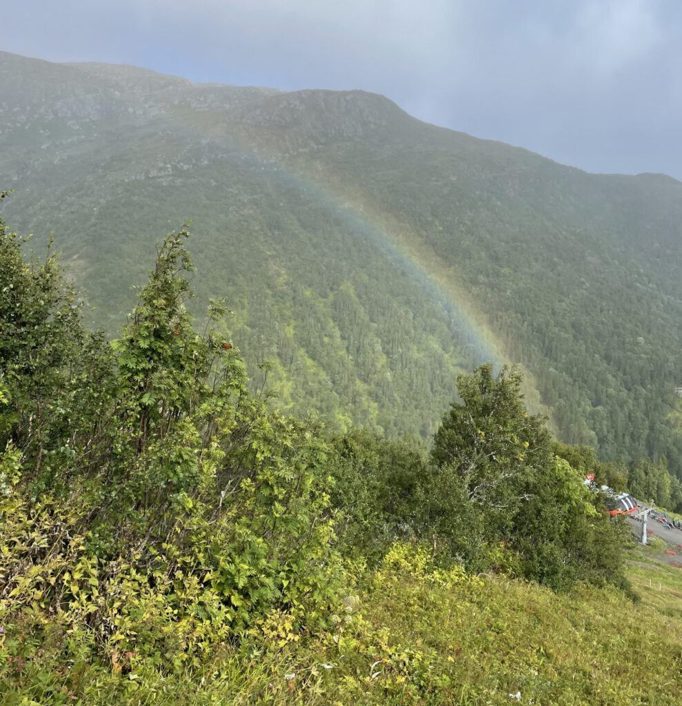 Bild som visar natur och en regnbåge, symbolik för företaget och företagandet